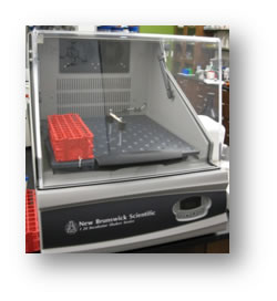 Incubator I 24